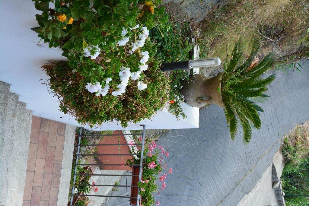 B&B La Casa Rossa Paola Exteriör bild